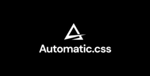 Automatic CSS WordPress Plugin