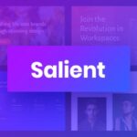 Salient WordPress Theme