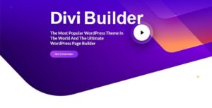 Divi Builder