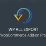 WP All Export WooCommerce
