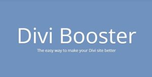 Divi Booster
