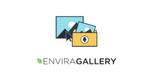 Envira Gallery Downloads