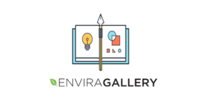 Envira Gallery Albums