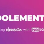 CoDesigner Pro