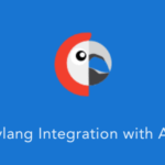 Polylang Extension for AMP