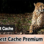 WP Fastest Cache Premium