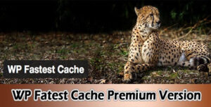 WP Fastest Cache Premium