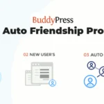 BuddyPress Auto Friendship
