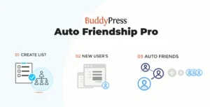 BuddyPress Auto Friendship
