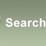 SearchWP Related Content