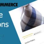 WooCommerce-Simple-Auctions