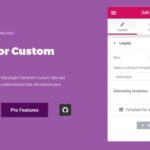 Elementor Custom Skin Pro