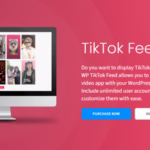 Quadlayers-TikTok-Feed-PRO