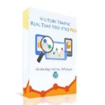 Visitor Traffic Real Time Statistics Pro