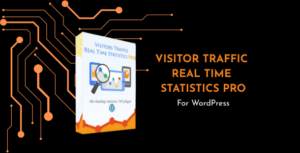 Visitor Traffic Real Time Statistics Pro