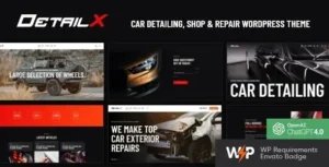 DetailX Car Detailing