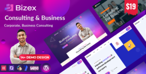 Bizex Business Consulting WordPress Theme