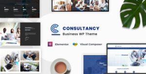 Consultancy Business Consulting