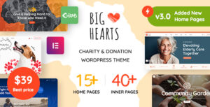 BigHearts Charity And Donation WordPress Theme