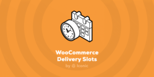 WooCommerce Delivery Slots