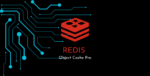 Redis Object Cache Pro 1.25.0 1 Redis Object Cache Pro