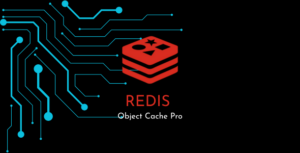 Redis Object Cache Pro